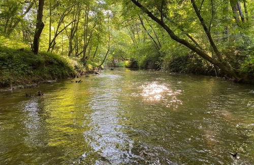 Mystic Creek Retreat (next to Blue Ridge) - Foto 29