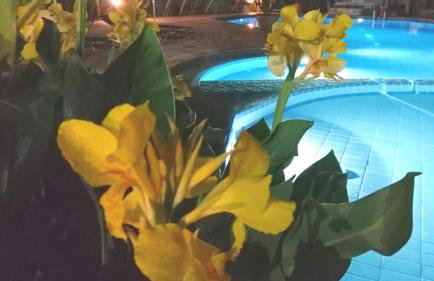 Lefka Apartments - Foto 15