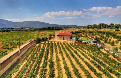 Villa Evinoi - Foto 8