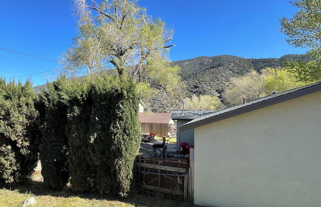 Hummingbird Mountain Cottage - Photo 46