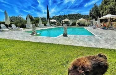 Il Casolare Val Di Mare - Foto 15