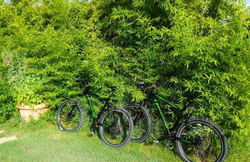 Kiteshomes - Foto 12