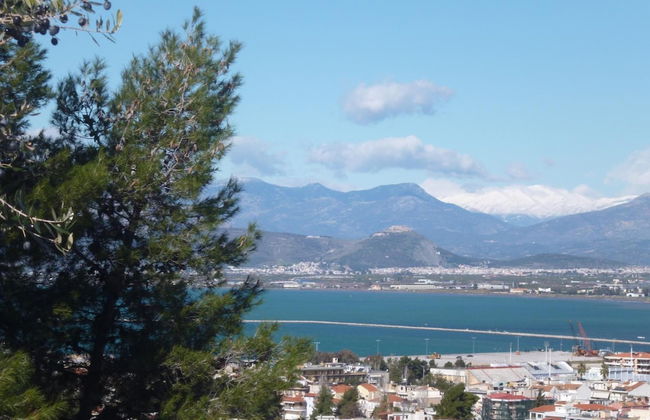 Hotel Vasilis - Foto 39