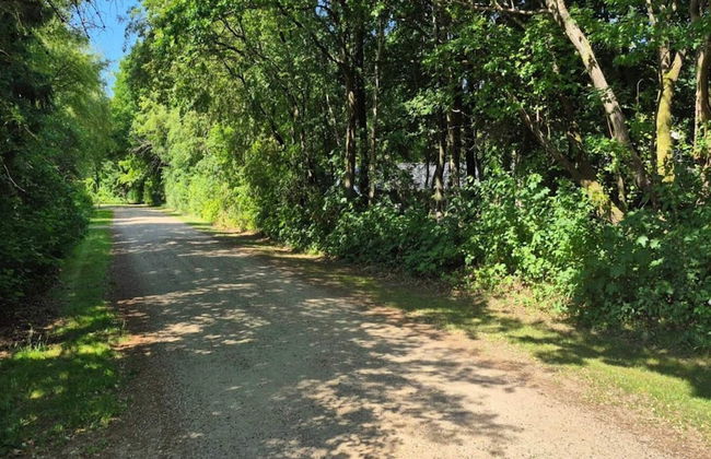 4 Star Holiday Home in Ansager - Photo 12