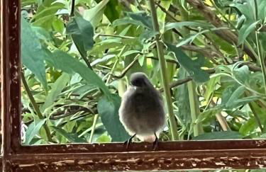 Haus Marta - Photo 59