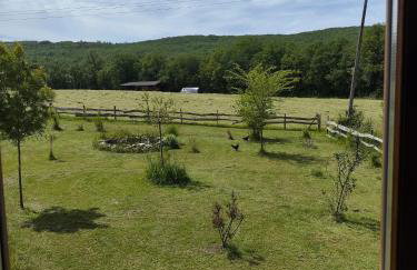 Au chant des oiseaux - rouge gorge - Foto 22