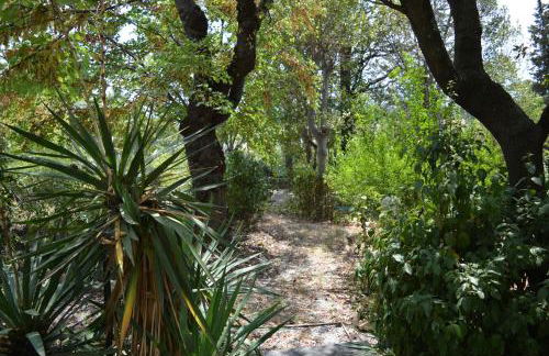 A casa della contessa Maria - Foto 17