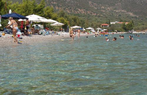 Manto Studios - Photo 54