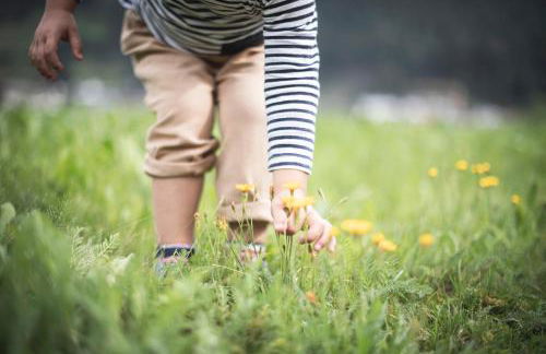 OVINA`s HAUS - Photo 56