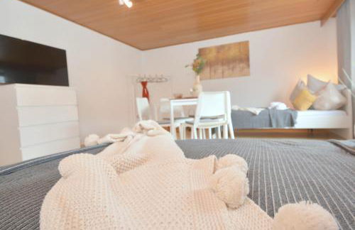 Ferienwohnungen Schindler im Fränkischen Seenland - Foto 21