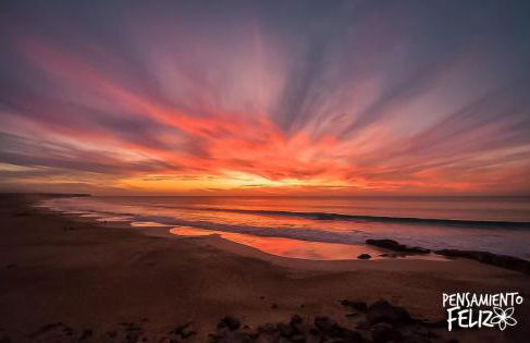 Pensamiento Feliz - Foto 16