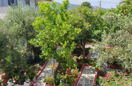 Villa Irida - Foto 30