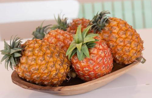 Vila Marta - Garajau - Photo 27