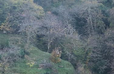 Casa di Giose con garage - Foto 22