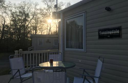 Poppy at Oakdene Forest Park - Foto 72