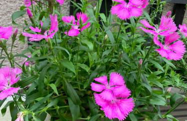 York Staycation with parking included - Foto 22