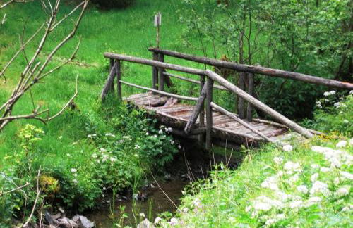 Holiday Home in Thuringian Forest Retreat - Foto 78