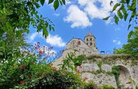 LA GARDE ADHEMAR, L'escalier Médiéval - Foto 40
