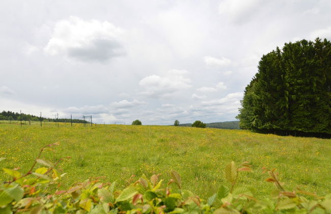 Scenic Stay in Vencimont - Foto 35