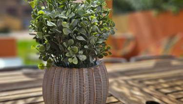 Camargue - La Saline Forézienne - Salin-de-Giraud - Foto 2, Garden