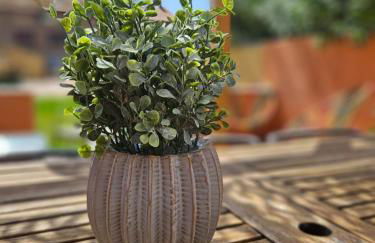 Camargue - La Saline Forézienne - Salin-de-Giraud - Foto 2