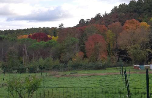 Podere Cagnesi Relax nella natura - Foto 27