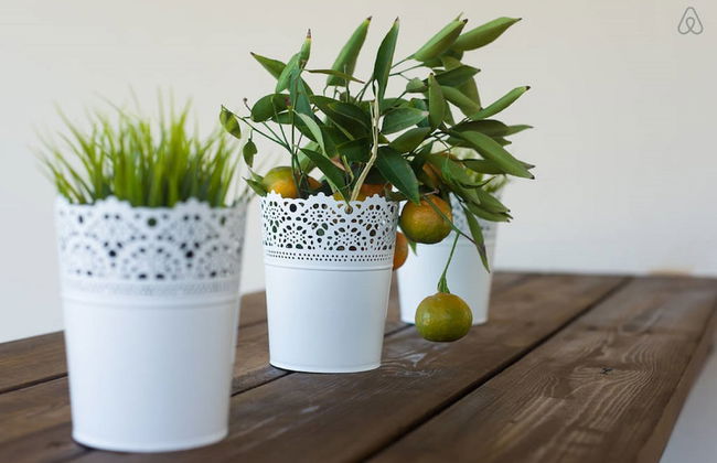 Mul Kineret Suites - Photo 46