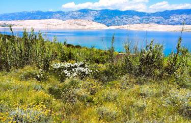 Family apartments K&M - Photo 41