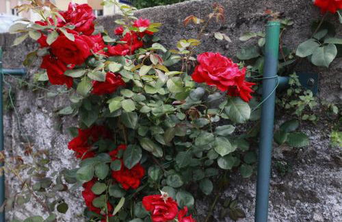 Apartment Lake Maggiore - ITALIA - Foto 27