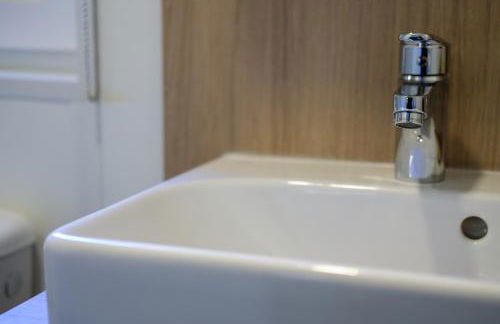 Iguana - Das Tiny Haus am Reptilienzoo Reptilium - Foto 23