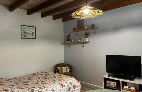 Maison indépendante avec terrasse et parking privatif - FR-1-591-719 - Foto 15