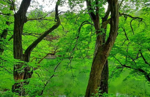 Holiday Home Mit Liebe ausgestattetes Haus im Naturpark by Interhome - Photo 17