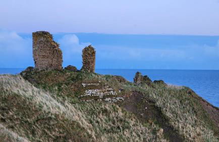 Castle Shieling - Foto 18