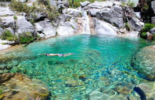 Aromas do Vouga - Foto 23