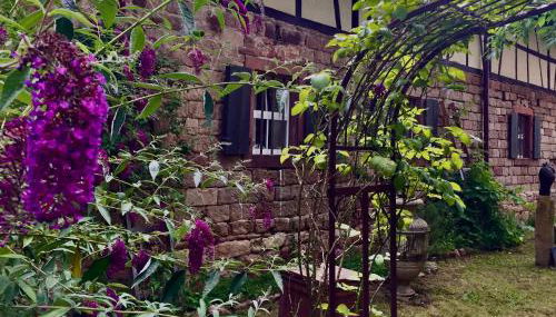 Villa Buselmeier - Foto 3