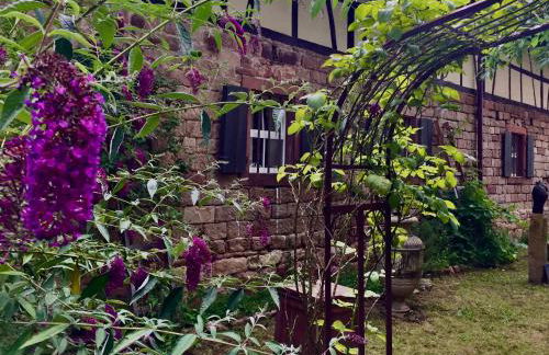 Villa Buselmeier - Foto 3