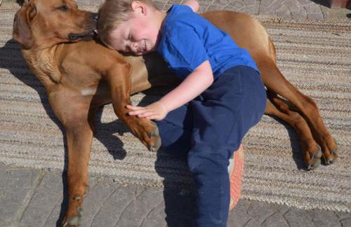 Alpakatherapie und Ferienhof Charlottenthal - Foto 42