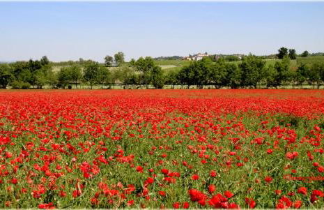 Appartamento Simona - Foto 21