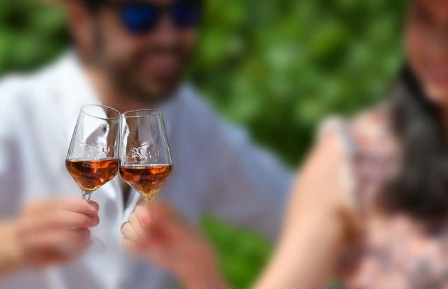 Visite de deux domaines vinicoles d'Arrábida + Usine d'azulejos - Photo 2