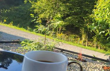 Leśne Wzgórze nad Soliną - Foto 30