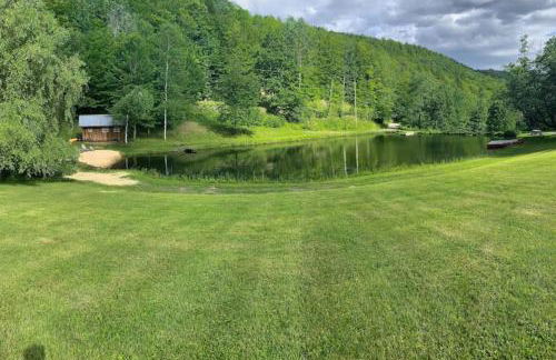 Wild Blue Yonder - Foto 27