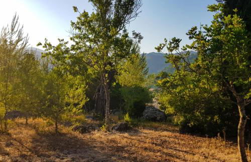 Can Company - Foto 75