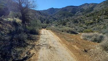 Secluded Oasis with View, and hot tub on 50 acres - Foto 2