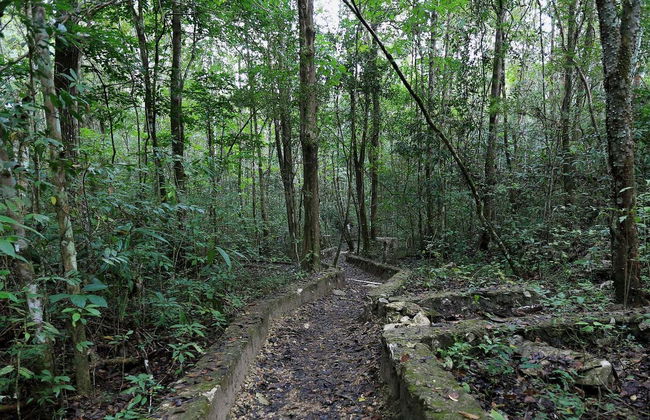Trekking nella Selva Lacandona - Foto 1