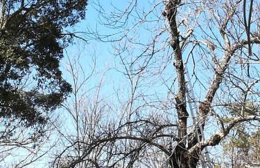 Viviendas Rurales del Robledo - Foto 22