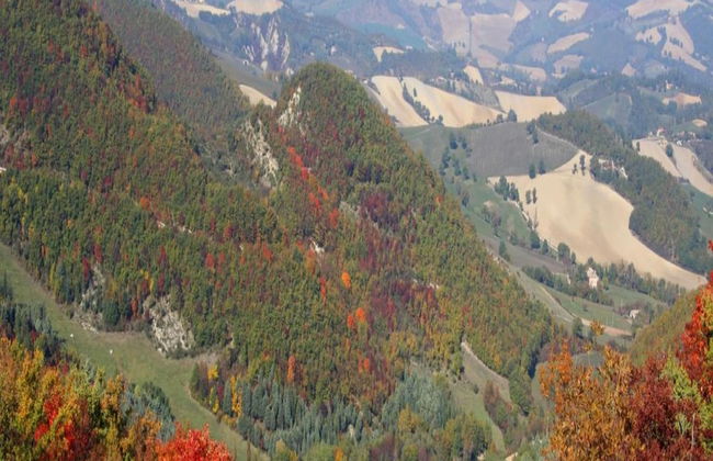 Holiday Home in Urbania With Garden BBQ - Foto 20