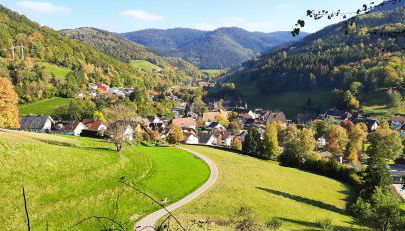 Ferienwohnung Bachklang Oberprechtal - Foto 2