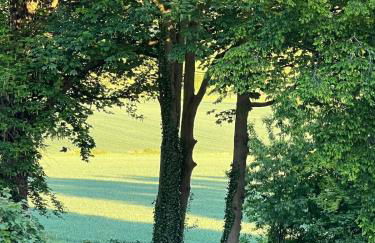 Chiltern Studio - Foto 31