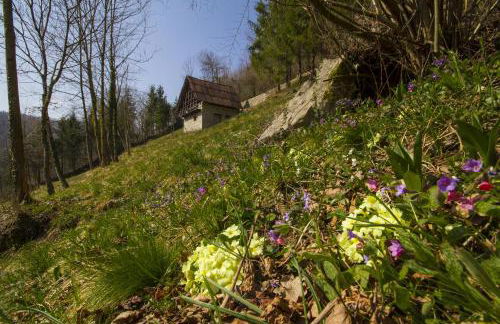 Casa delle Noci - Foto 28