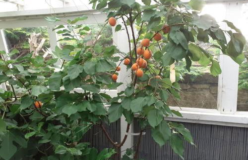 The Treehouse by Airlie - Foto 45